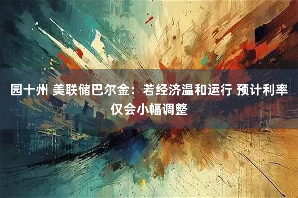 园十州 美联储巴尔金：若经济温和运行 预计利率仅会小幅调整