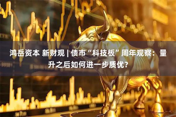 鸿岳资本 新财观 | 债市“科技板”周年观察：量升之后如何进一步质优？